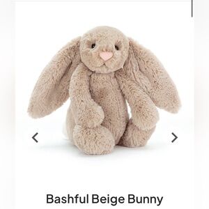 Bashful Beige Bunny